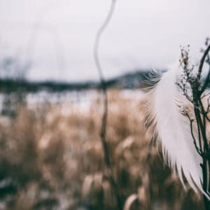 Rendevous mit verstorbenen Seelen